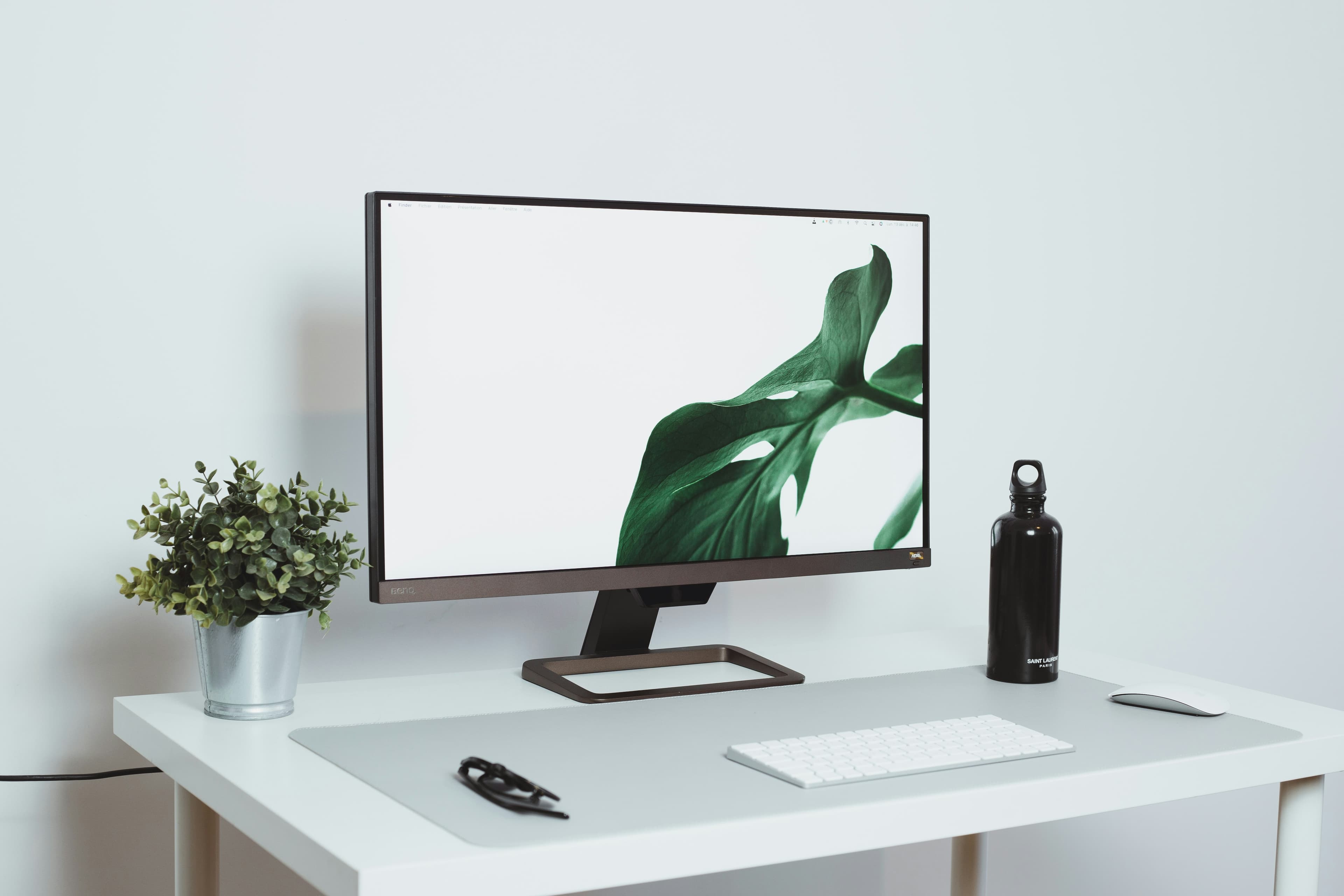A minimal white desk with a monitor showing a green leaf, a small potted plant and a black water bottle.